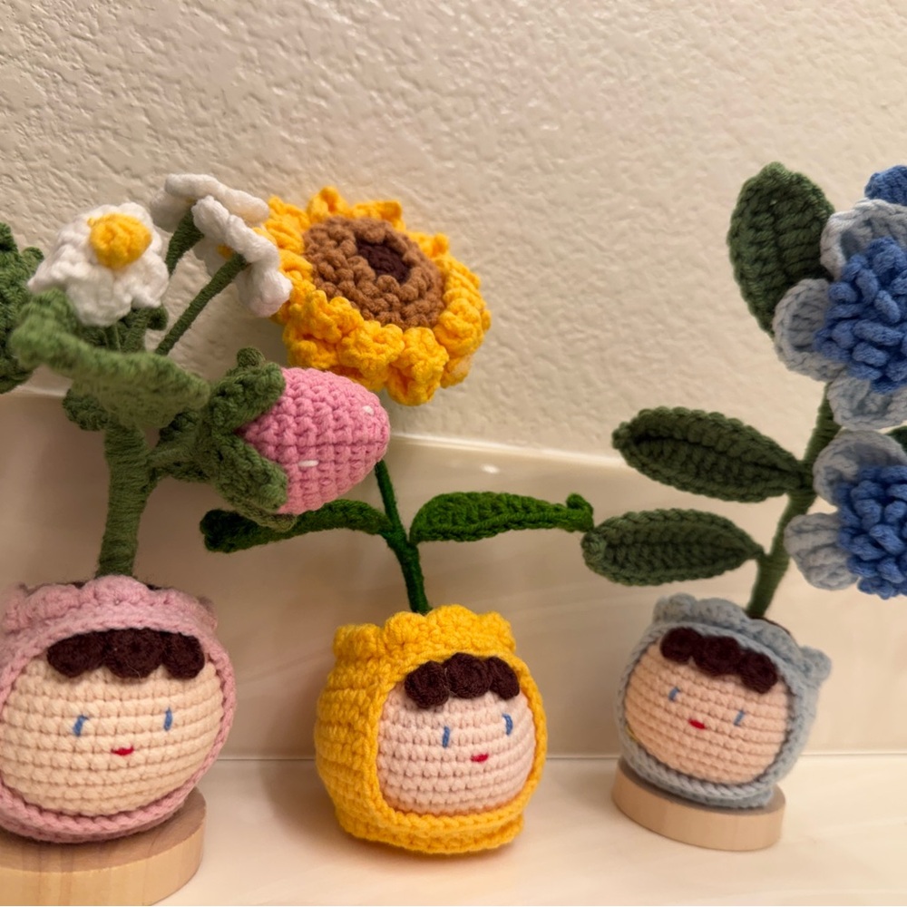 Handcrafted Crochet Flower Pot Decor Set